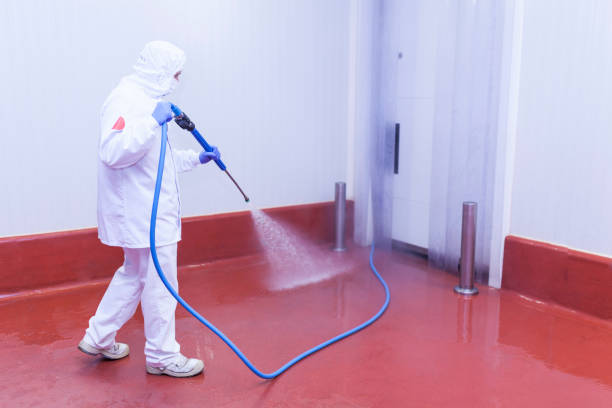 Best Rust Removal  in Sconsin Rapids, WI